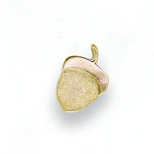 Acorn S