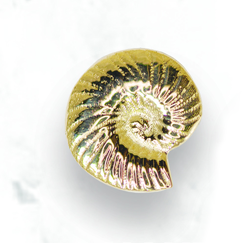 Nautilus
