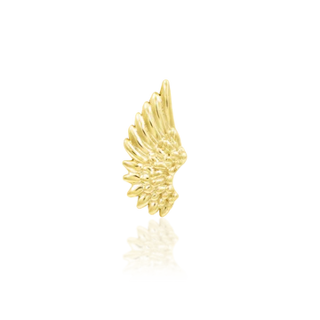 Icarus