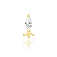 Rana