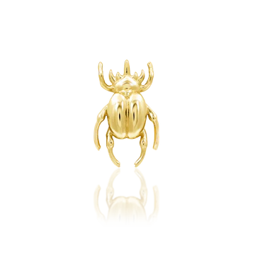Rhino Beetle